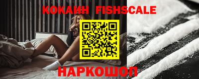крисы Шелехов