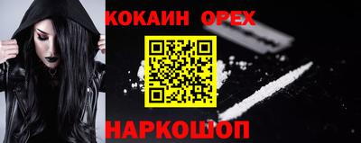крисы Шелехов