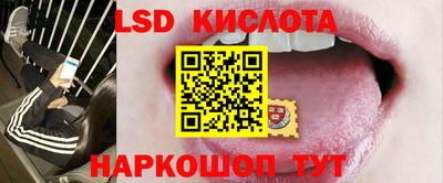крисы Шелехов