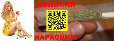 крисы Шелехов