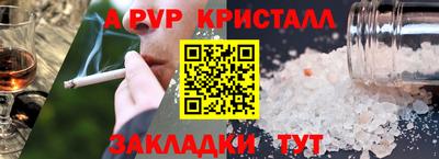 крисы Шелехов
