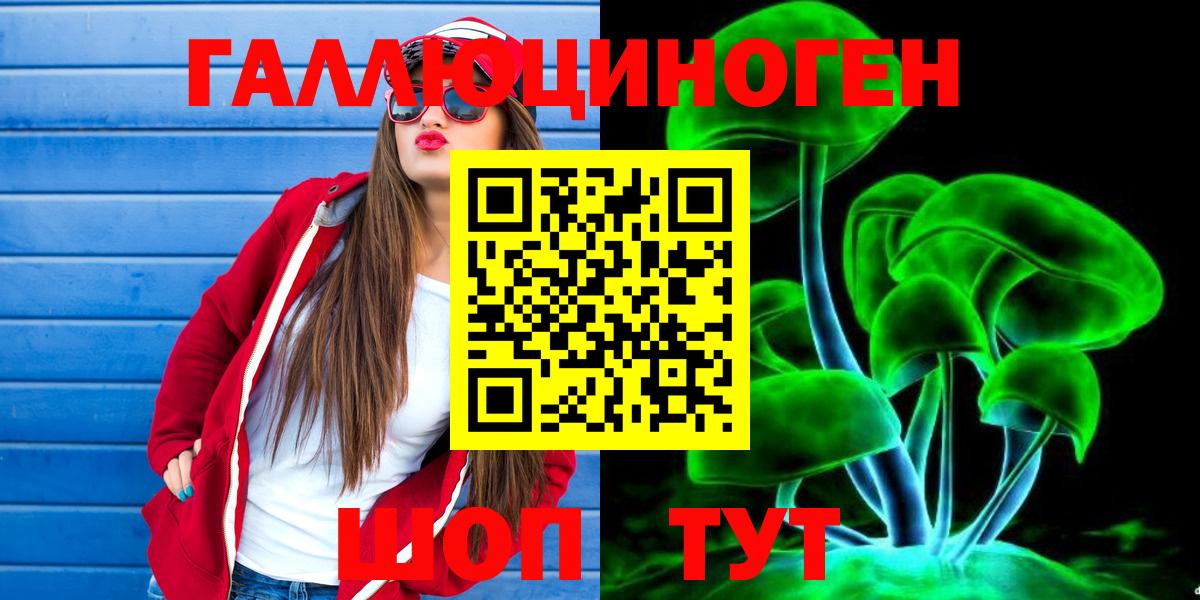 Псилоцибиновые грибы Psilocybe Сертолово